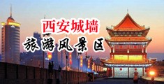 法国女优性爱视频中国陕西-西安城墙旅游风景区